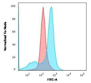 Flow cytometric analysis of U87MG cells using Anti-CD73 Antibody [NT5E/2646] followed by Goat Anti-Mouse IgG (CF&#174; 488) (Blue). Isotype Control (Red)