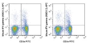 Anti-IFNG Rat Monoclonal Antibody (APC (Allophycocyanin)) [clone: XMG1.2]