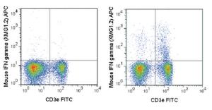 Anti-IFNG Rat Monoclonal Antibody (APC (Allophycocyanin)) [clone: XMG1.2]