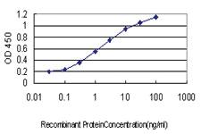 Anti-EPOR Mouse Monoclonal Antibody [clone: 3D10]