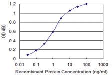 Anti-AATF Mouse Monoclonal Antibody [clone: 2H6]