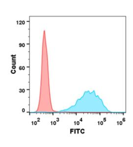 Jurkat cell line were surface stained with Anti-CD47 Humanized Antibody [Lemzoparlimab Biosimilar] - Azide free (A318886) (blue histogram) and isotype control (red histogram) at 1  µg/ml followed by Goat Anti-Human IgG Antibody (Alexa 488)