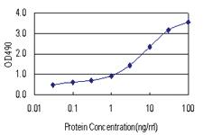 Anti-DYDC2 Antibody Pair