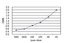 Anti-LAIR1 Antibody Pair