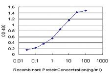 Anti-ACAN Mouse Monoclonal Antibody [clone: 2A8]