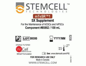 mTeSR™1 without phenol red