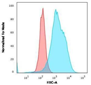 Anti-CD20 Mouse Monoclonal Antibody [clone: L26 + IGEL/773]