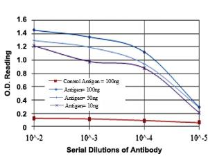 Anti-ITK Mouse Monoclonal Antibody [clone: 5G6]