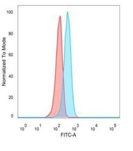 Flow cytometric analysis of PFA-fixed U87 cells using Anti-ATF2 Antibody [PCRP-ATF2-1B4] followed by Goat Anti-Mouse IgG (CF and #174; 488) (Blue). Unstained cells (Red)