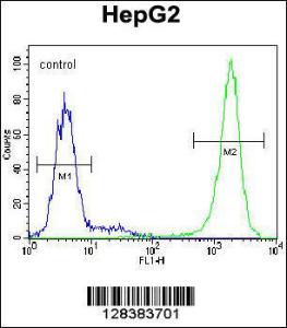 Anti-TIGD3 Rabbit Polyclonal Antibody (FITC (Fluorescein Isothiocyanate))