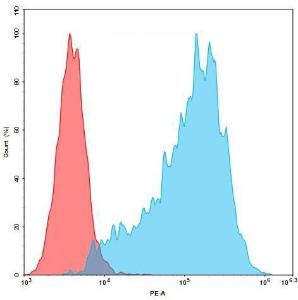 Flow cytometry analysis with Anti-CCR8 Humanized Antibody [10A11] - Azide free (A318895) on 293T-CCR8 (293T cells transduced with gene for full length CCR8) Human Cell Line (red histogram) or 293T Cell Line (blue histogram)