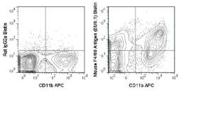 Anti-EMR1 Rat Monoclonal Antibody (Biotin) [clone: BM8.1]