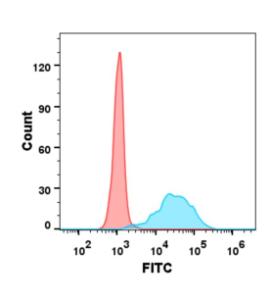 HEK293 cell line transfected with irrelevant protein (red histogram) and human TNFSF11 protein (blue histogram) were surface stained with Anti-RANKL Antibody [Denosumab Biosimilar] - Azide free (A318899) at 1 µg/ml followed by Goat Anti-Human IgG Antibody (Alexa 488)