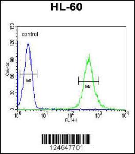 Anti-HOXA3 Rabbit Polyclonal Antibody (AP (Alkaline Phosphatase))