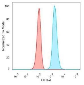 Flow cytometric analysis of PFA-fixed HeLa cells using Anti-ZNF358 Antibody [PCRP-ZNF358-1A6] followed by Goat Anti-Mouse IgG (CFand#174; 488) (Blue). Unstained cells (Red)