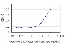 Anti-ERBB3 Mouse Monoclonal Antibody [clone: 3F12]