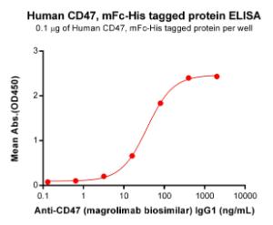 Anti-CD47 Human Recombinant Antibody