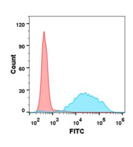 Anti-CD47 Human Recombinant Antibody