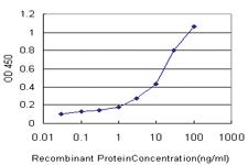 Anti-ERBB3 Mouse Monoclonal Antibody [clone: 2C7]