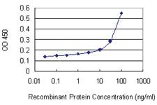 Anti-DUX3 Mouse Monoclonal Antibody [clone: 3D2]