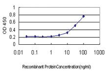 Anti-GREM1 Mouse Monoclonal Antibody [clone: 4C2]