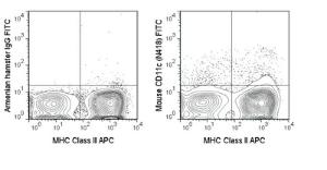 Anti-ITGAX Armenian Hamster Monoclonal Antibody (FITC (Fluorescein)) [clone: N418]