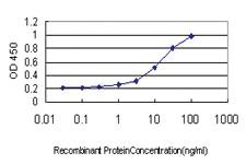 Anti-GREM1 Mouse Monoclonal Antibody [clone: 2F1]