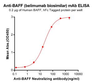 ELISA plates were pre-coated with 2 µg/ml (100 µl/well) Recombinant Human BAFF Protein (Fc Tag) (A318367) which can bind Anti-BAFF Antibody [Belimumab Biosimilar] - Azide free (A318912) in a linear range of 3.2-400 µg/ml