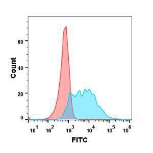 Flow cytometry analysis with Anti-BAFF Antibody [Belimumab Biosimilar] - Azide free (A318912) at 1 µg/ml on Expi293 cells transfected with human BAFF (blue histogram) or Expi293 transfected with irrelevant protein (red histogram)