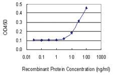 Anti-HSF1 Mouse Monoclonal Antibody [clone: 1A11]