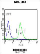 Anti-IDH3G Rabbit Polyclonal Antibody (PE (Phycoerythrin))