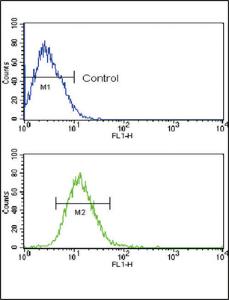 Anti-TLR2 Rabbit Polyclonal Antibody (Biotin)