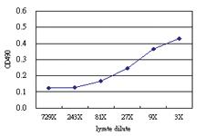 Anti-ARHGEF5 Antibody Pair