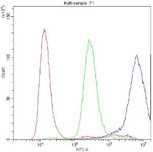 Anti-SLK Polyclonal Antibody