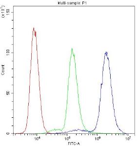 Anti-SLK Polyclonal Antibody