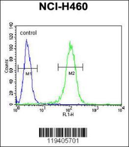 Anti-BHLHE41 Rabbit Polyclonal Antibody (APC (Allophycocyanin))