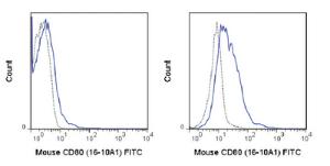 Anti-CD80 Armenian Hamster Monoclonal Antibody (FITC (Fluorescein)) [clone: 16-10A1]