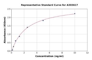 Representative standard curve for Mouse RIP ELISA kit (A303617)