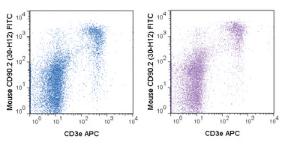 Anti-Thy1.2 Rat Monoclonal Antibody (FITC (Fluorescein)) [clone: 30-H12]