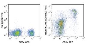 Anti-Thy1.2 Rat Monoclonal Antibody (FITC (Fluorescein)) [clone: 30-H12]