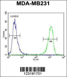 Anti-HRIHFB2025 Rabbit Polyclonal Antibody (Biotin)