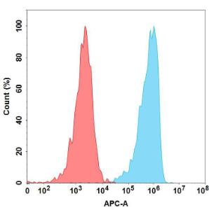 Flow cytometry analysis with Anti-ICAM1 Antibody [Bersanlimab Biosimilar] - Azide free (A318920) at 1 µg/ml on Expi293 cells transfected with Human ICAM1 protein (blue histogram) or Expi293 transfected with irrelevant protein (red histogram)