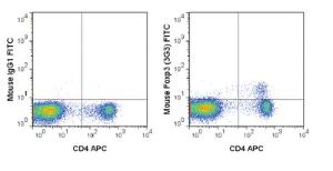 Anti-FOXP3 Mouse Monoclonal Antibody (FITC (Fluorescein)) [clone: 3G3]