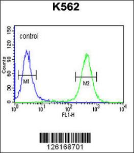 Anti-ATP4B Rabbit Polyclonal Antibody (FITC (Fluorescein Isothiocyanate))