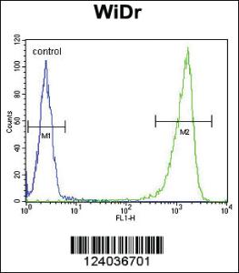 Anti-GUSB Rabbit Polyclonal Antibody