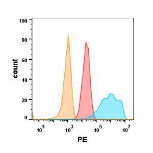 Anti-EGFR Chimeric Antibody [Cetuximab Biosimilar]