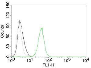 Flow cytometric analysis of Jurkat cells labeling CD31 with Anti-CD31 Antibody [C31.7] (AF488) (Green). Cells alone (Black). Isotype Control (Grey).