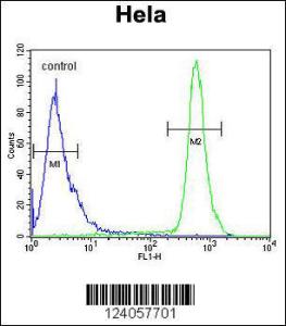 Anti-HS3ST2 Rabbit Polyclonal Antibody (FITC (Fluorescein Isothiocyanate))