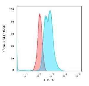 Flow cytometric analysis of PFA fixed K562 cells using Anti-Calponin 1 Antibody [CNN1/832 + CALP] followed by Goat Anti-Mouse IgG (CF&#174; 488) (Blue). Isotype Control (Red)