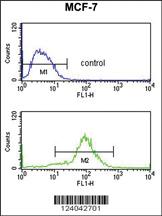 Anti-MOB2 Rabbit Polyclonal Antibody